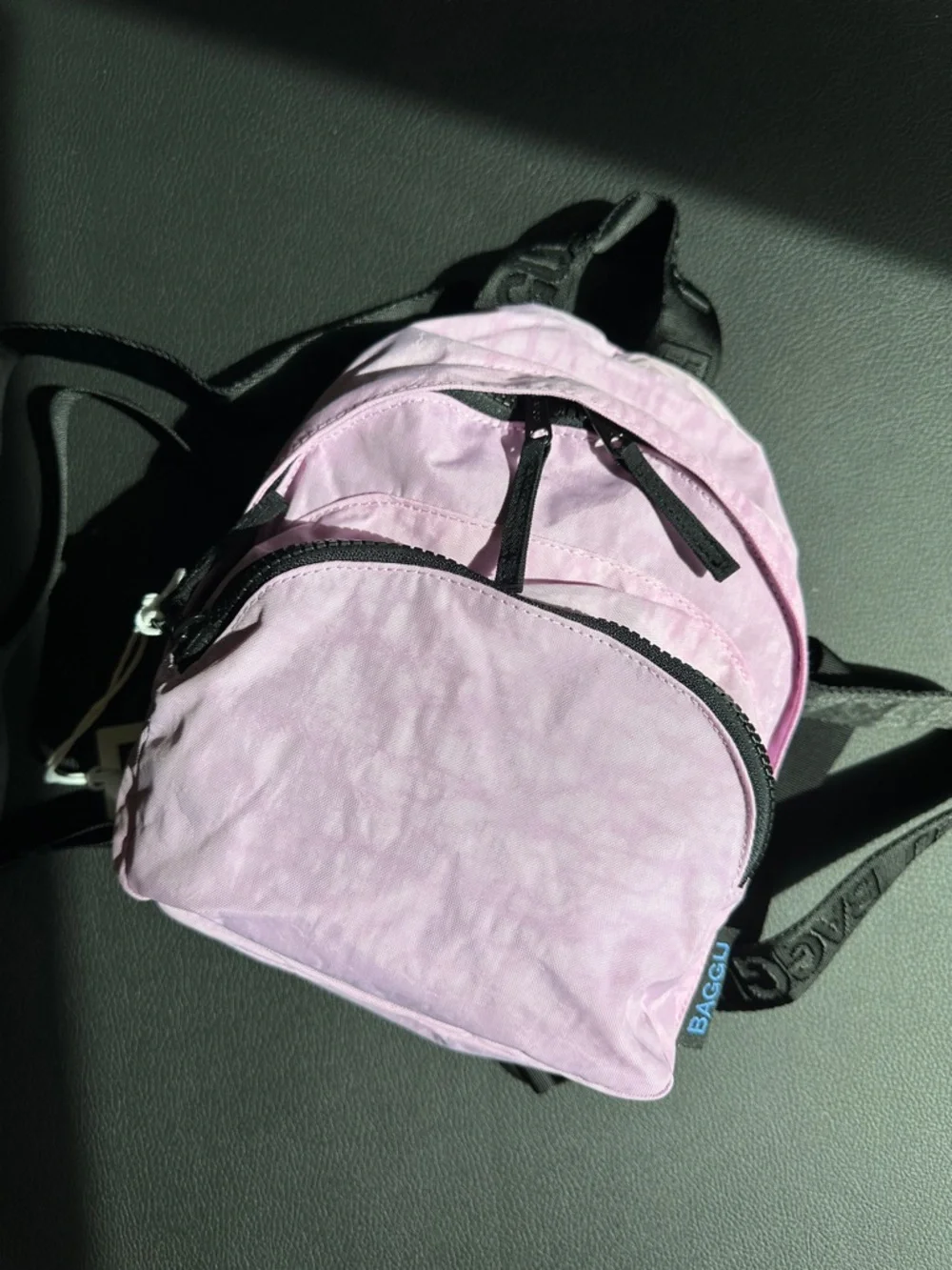 NWT Mini Nylon Backpack Peony Colorway